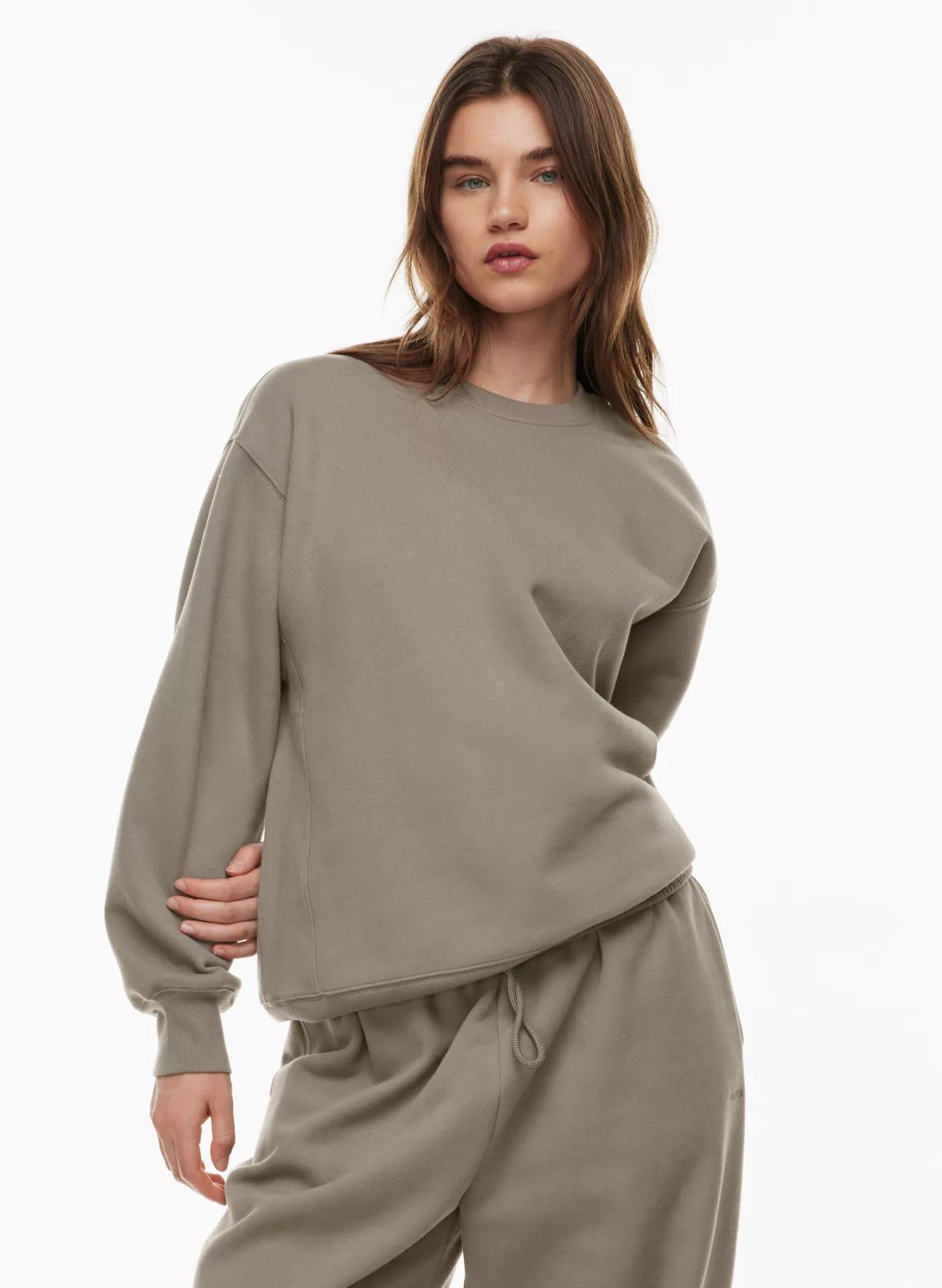 COZY FLEECE BOYFRIEND CREW SWEATSHIRT | Aritzia