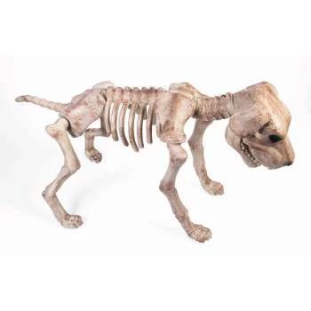 Bone Skeleton Dog Halloween Decoration | Walmart (US)