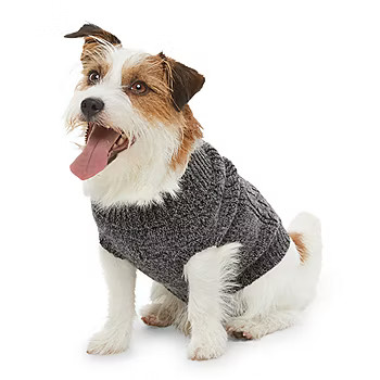 St. Johns Bark Dog Sweater | JCPenney