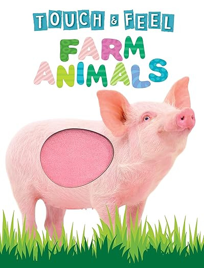 Touch and Feel Farm Animals - Novelty Book - Children's Board Book - Interactive Fun Child's Book... | Amazon (US)
