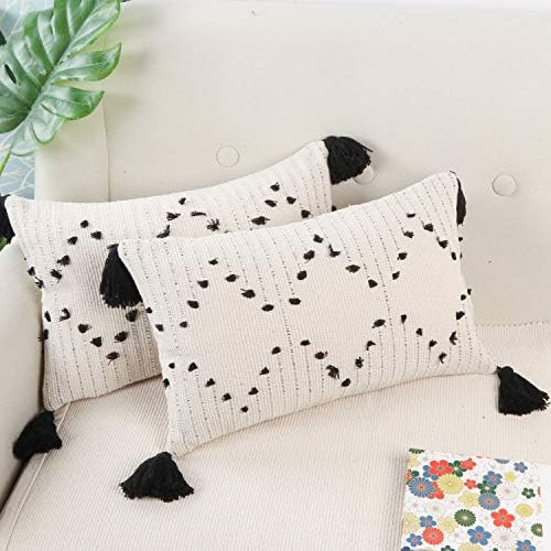 Ailsan Boho Farmhouse Diamond Decorative Throw Pillow Covers Set of 2 Cotton Woven Tribal Lumbar ... | Amazon (US)