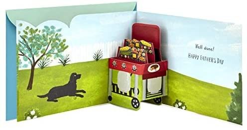 Hallmark Paper Wonder Pop Up Fathers Day Card (Barbecue) | Amazon (US)