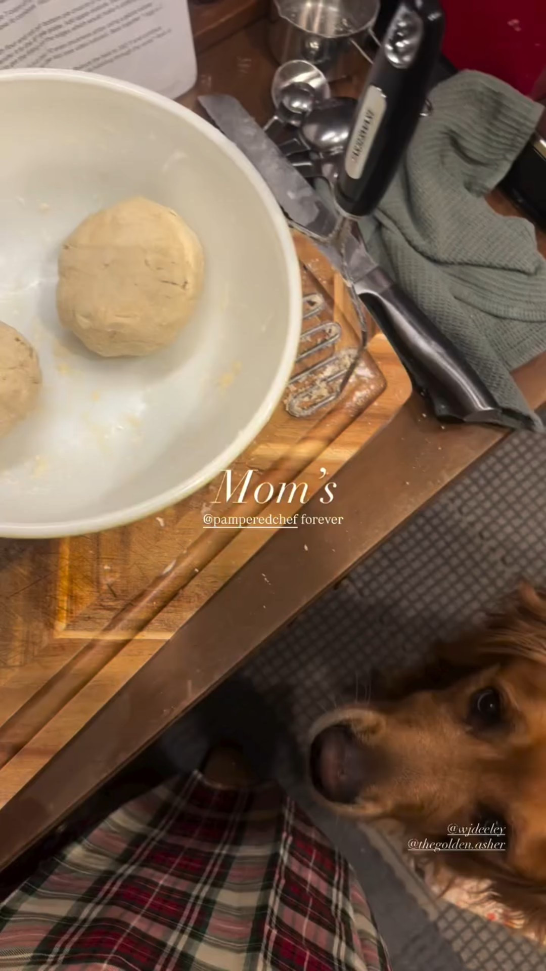 Mom’s @pamperedchef forever @wjdeeley 
@thegolden.asher thanksgiving apple pie prep ✨🫶🏻🍎

#LTKGiftGuide #LTKHoliday #LTKSeasonal