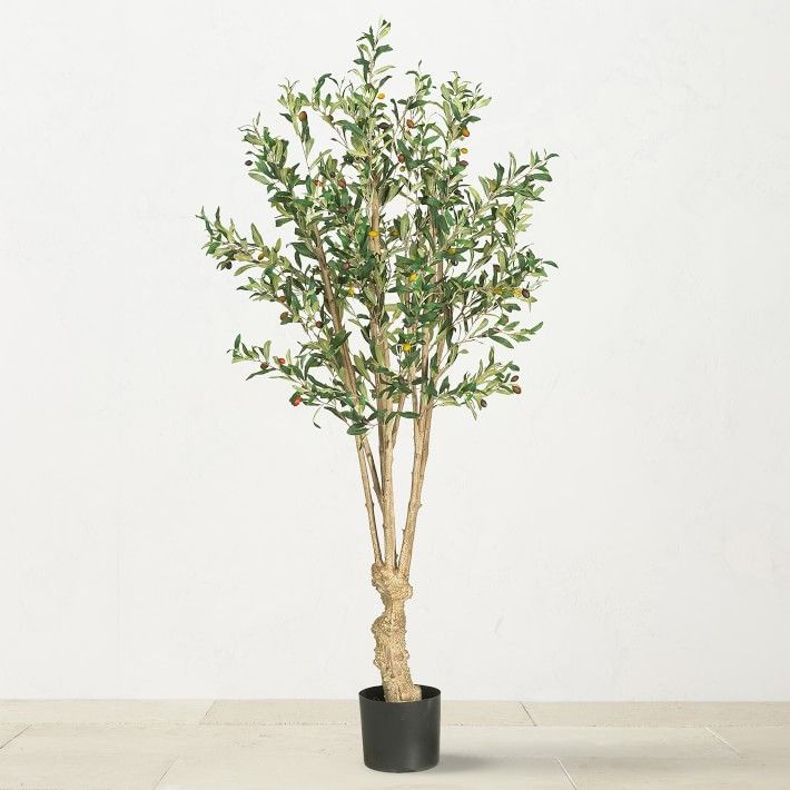 Silk Olive Tree, 60&amp;quot; | Williams-Sonoma