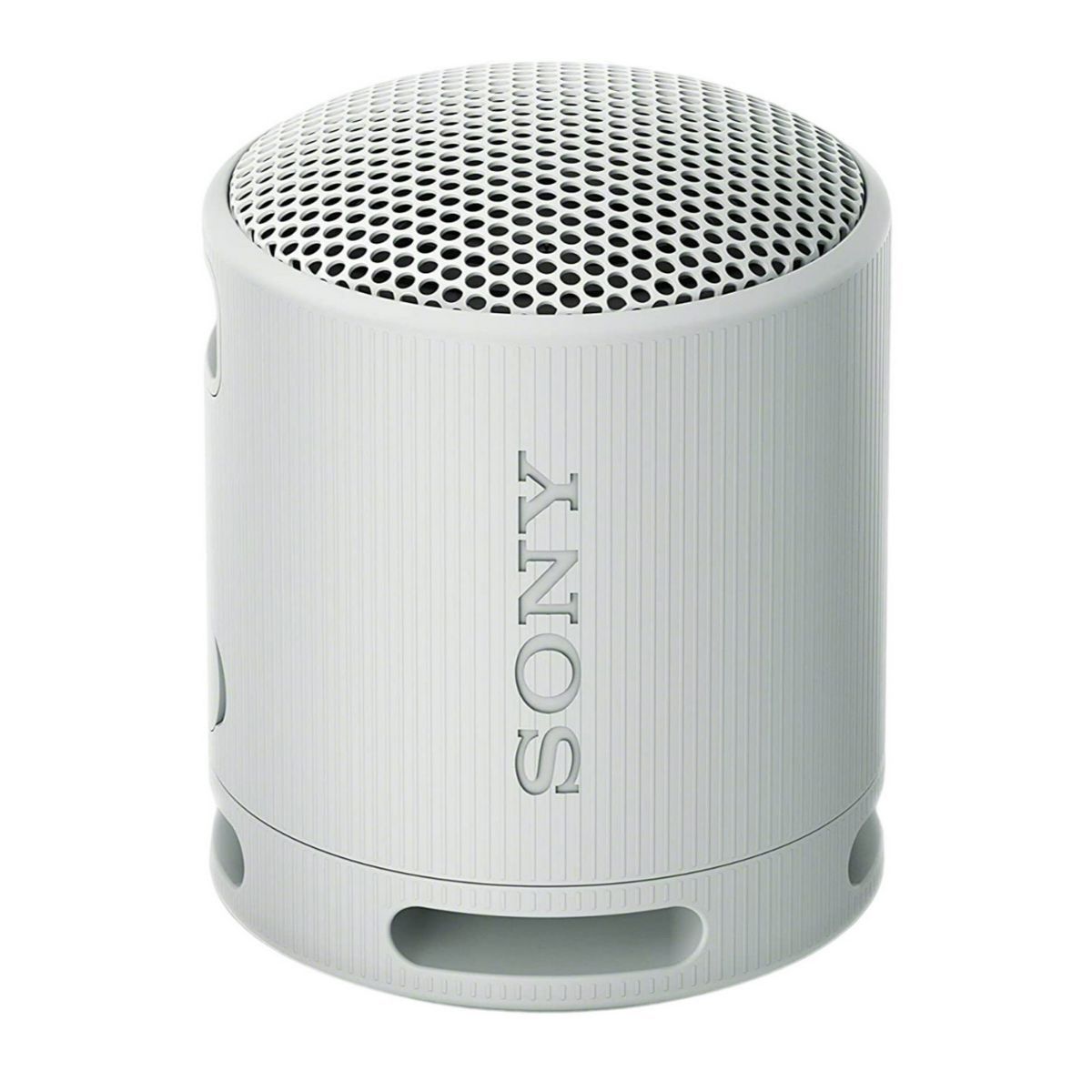 Sony SRS-XB100 Wireless Bluetooth Portable Lightweight Travel Speaker (Gray) | Target