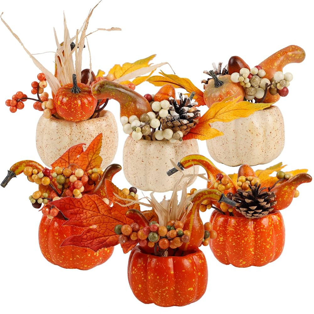 winemana Fall Decorations for Home - Set of 6 Artificial Pumpkin, Berry & Pine Cone Table Centerp... | Amazon (US)
