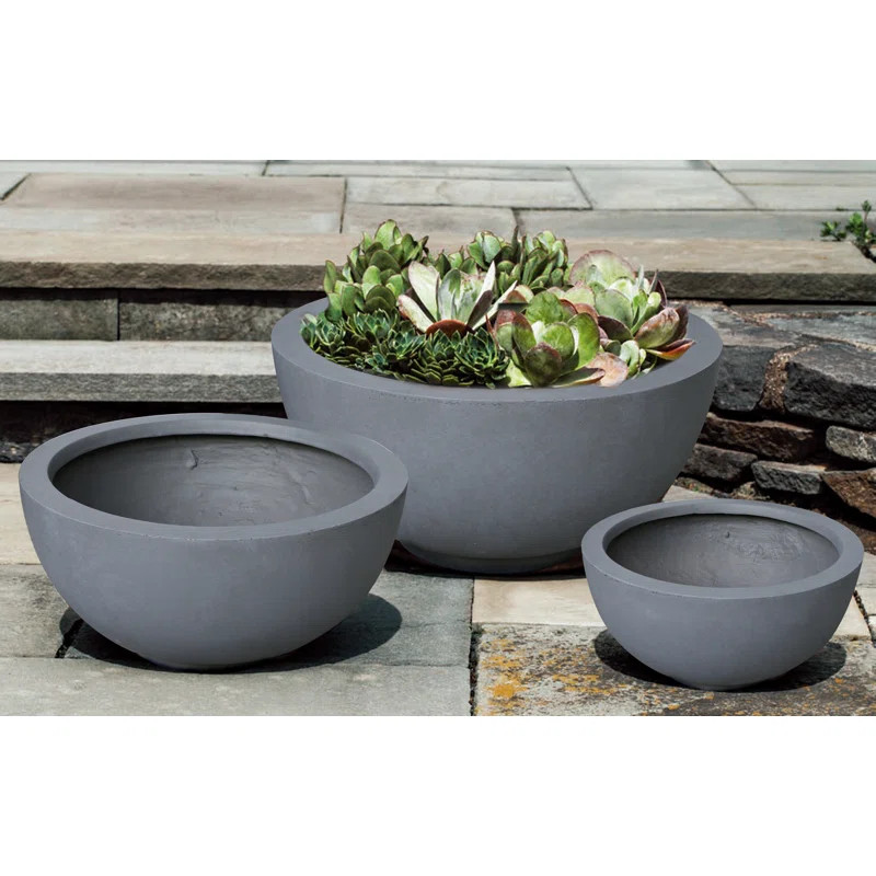 Modern Concrete Pot Planter | Wayfair North America