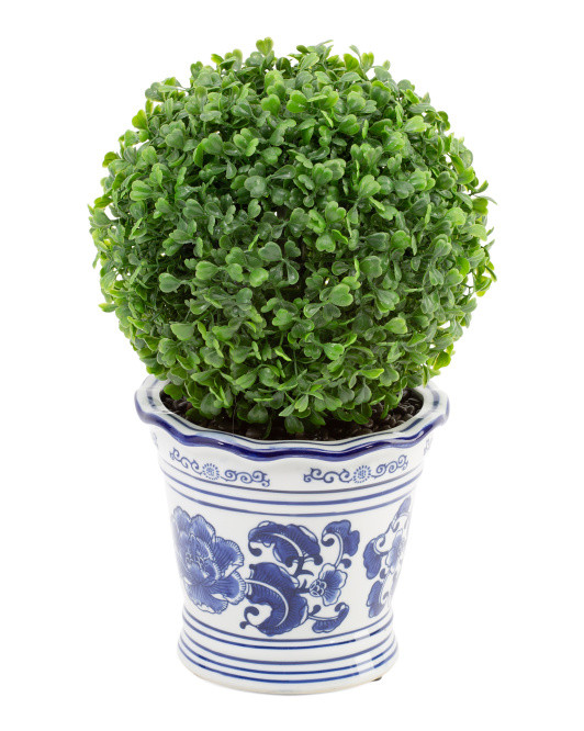 14in Single Ball Topiary In Ceramic Pot | Plants & Planters | Marshalls | Marshalls