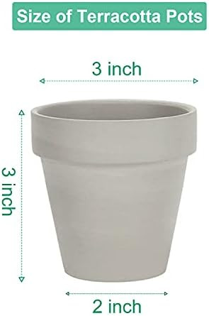 3 Inch Grey Terracotta Pots with Drainage - 20 Pack Clay Flower Pots, Succulent Nursery Pots Grea... | Amazon (CA)
