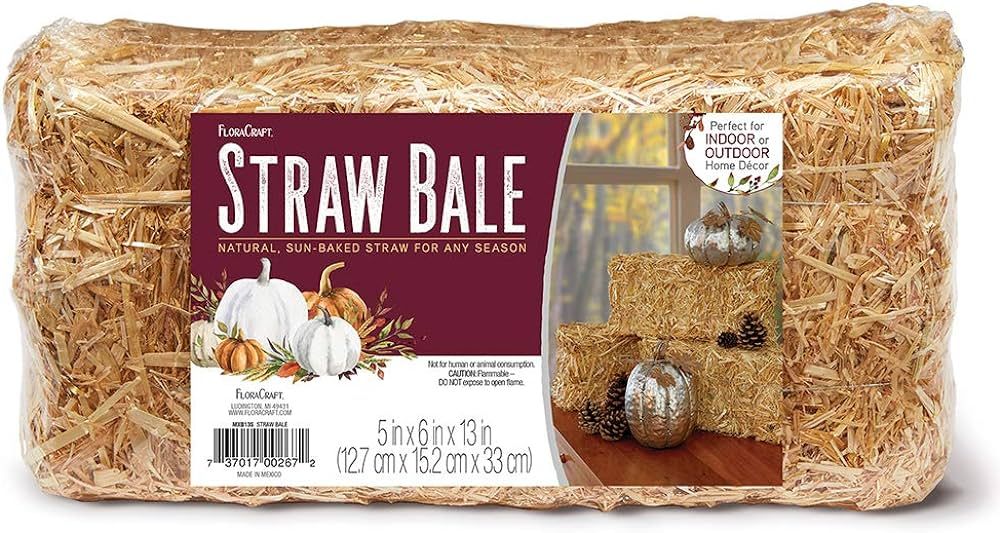 FloraCraft Decorative Straw Bale 5 Inch x 6 Inch x 13 Inch Natural | Amazon (US)