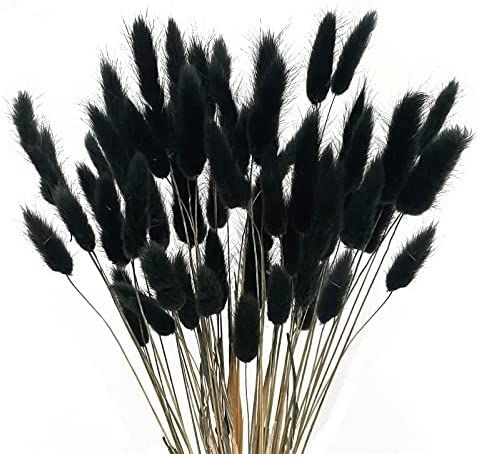 XHXSTORE 60pcs Dried Bunny Tails Flowers Black Pampas Grass Natural Lagurus Ovatus Dried Floral A... | Amazon (US)