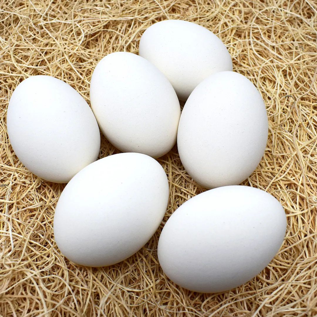 Decorative Ceramic Hen Nest Easter Eggs (white) - 6 pack | Etsy (US)