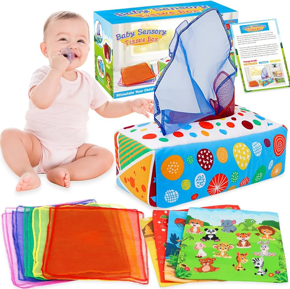 Aiduy Baby Toys 6 to 12 Months - Baby Tissue Box Toys Montessori Toys for Babies 6-12 Months - So... | Amazon (US)
