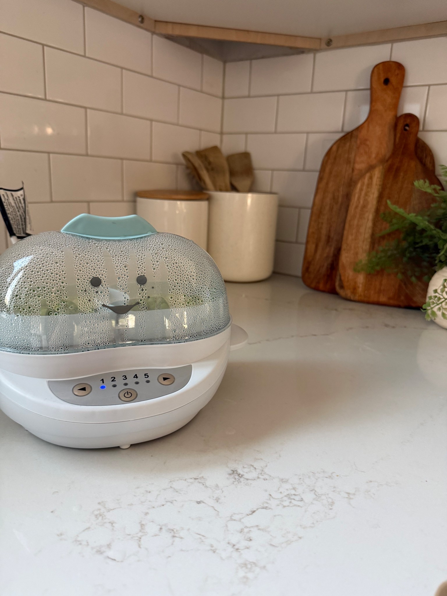 Nutribullet baby steamer