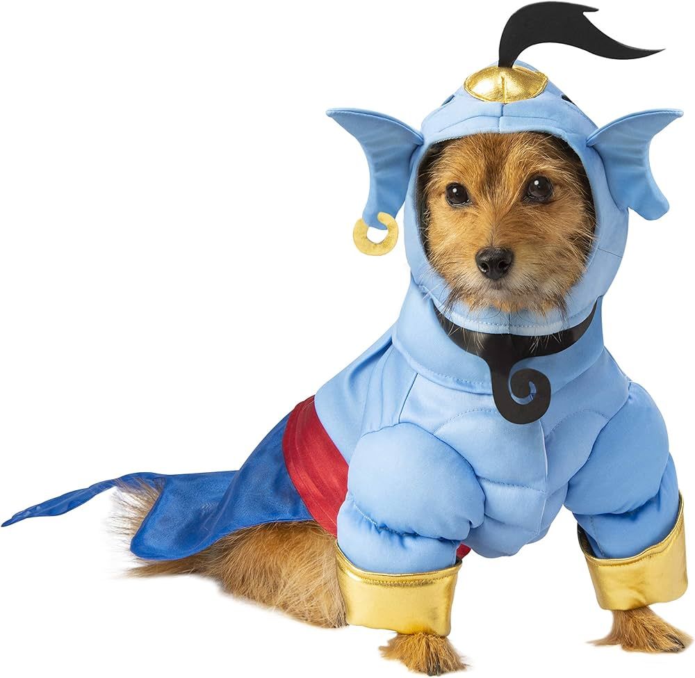 Rubie's Disney Aladdin Pet Costume, Genie, Small | Amazon (US)