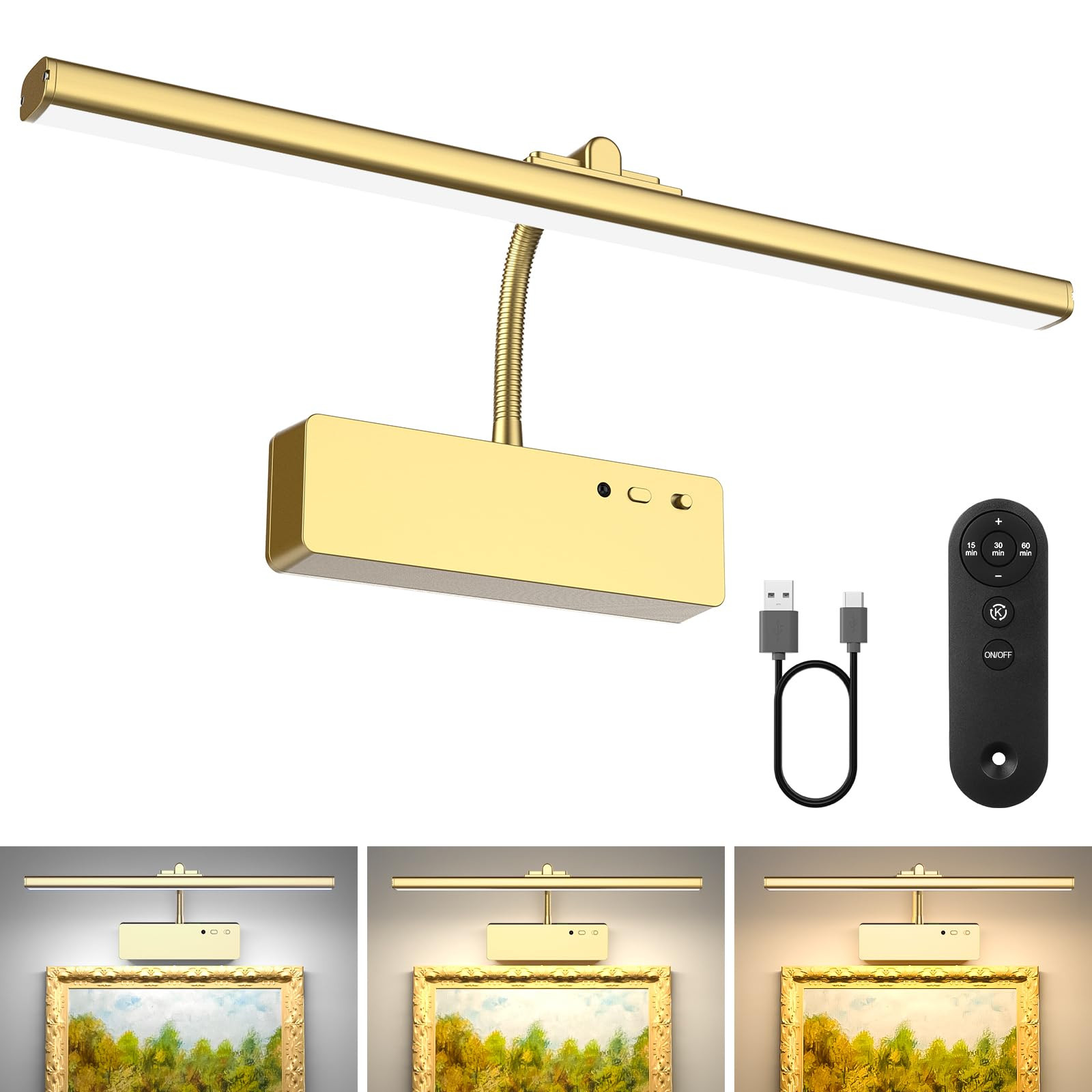 Picture Light with Remote, 15.35inch Wireless Rechargeable Battery Wall Light for Paintings, 3 Co... | Amazon (US)