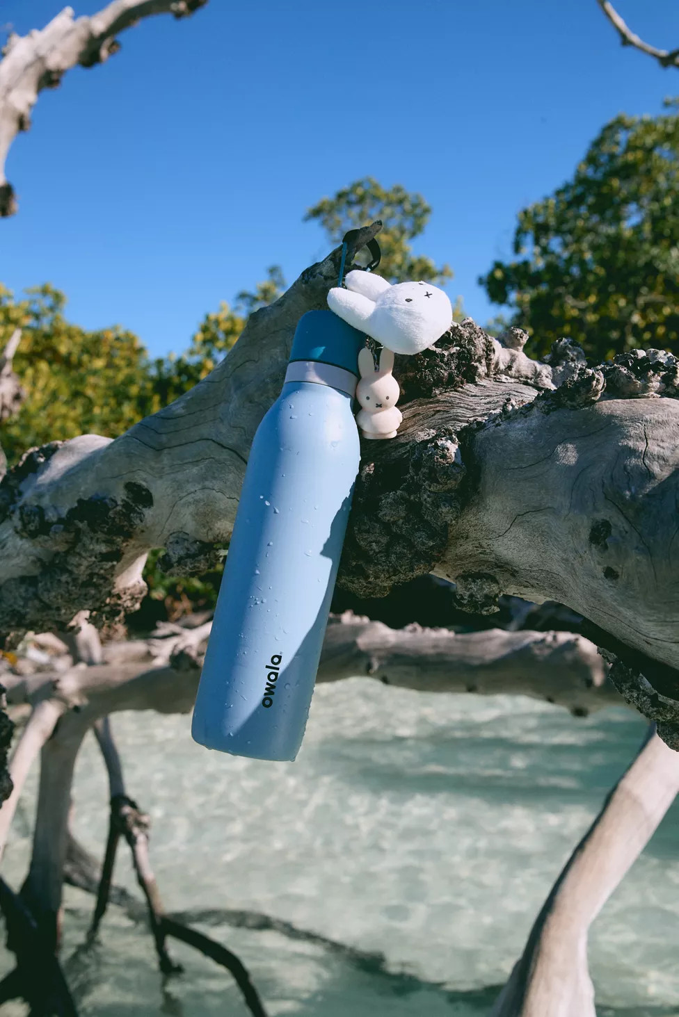 Owala FreeSip Twist 24 oz Water Bottle | Urban Outfitters (US and RoW)
