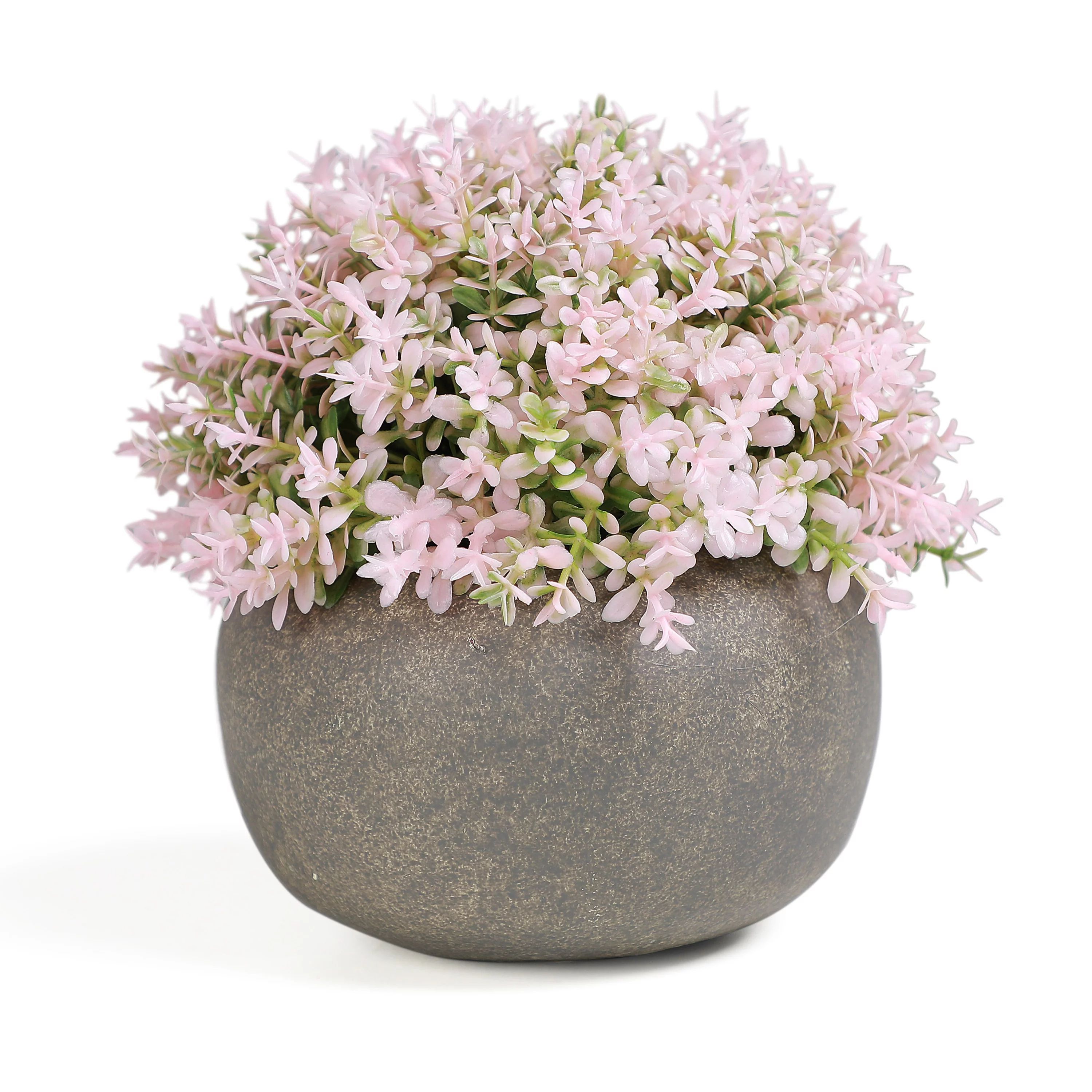 Mainstays 5.12" Artificial Pink Boxwood Plant in Cement Pot | Walmart (US)