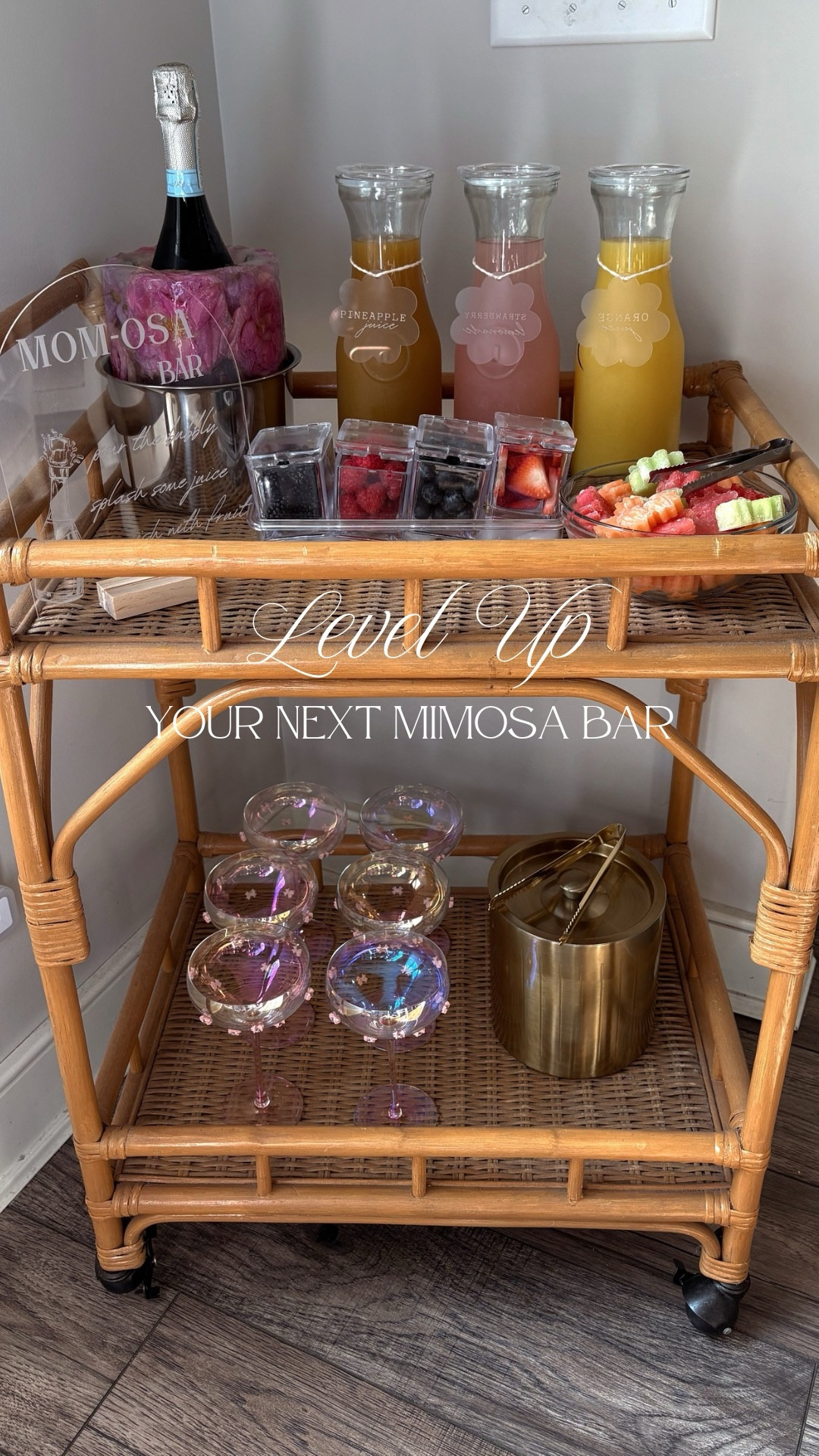 MIMOSA/MOMOSA BAR
As Mother’s Day is quickly approaching I wanted to share some cute ways to level up a mimosa bar to turn it into somethi g perfect for any special ocassion! I grabbed glass containers to pit my juice in to make it more aesthetically pleasing, had cute signs made for the bar and juice bottles. I added super cute glasses, I made a super pretty ice mold for the champagne, added fresh and frozen fruit cut into cute shapes! These are some great ways to level
Your next mimosa bar up!
#mimosabar #momosabar #acrylicsigns #icemold #etsy #drinkbar #etsyfinds #amazon #amazonfinds #amazonhome #mothersdaysetup #mimosasetup 



#LTKOver40 #LTKHome #LTKSeasonal