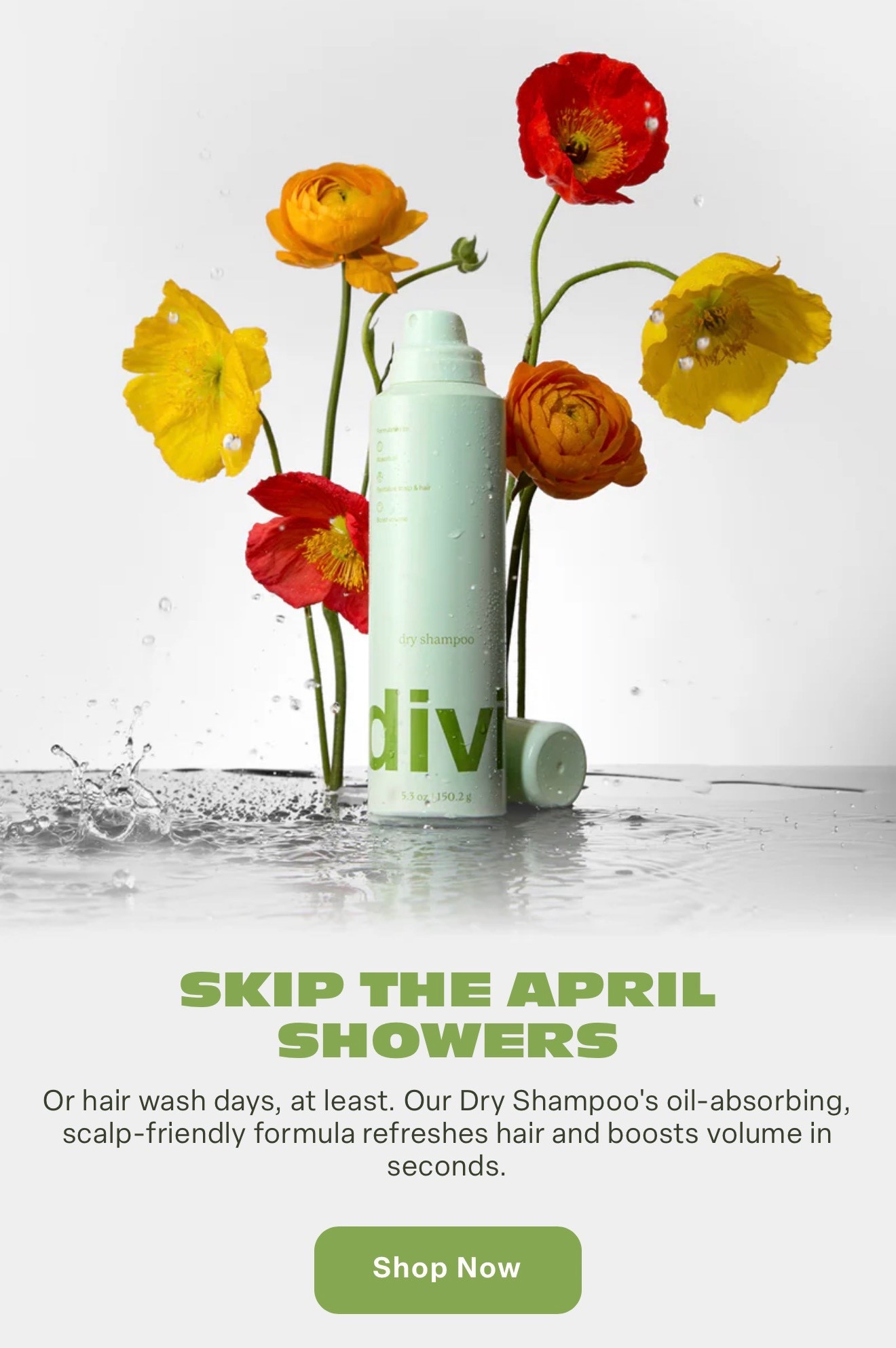 Use code HOMETOWNMOMMA to save on your Divi order!! 