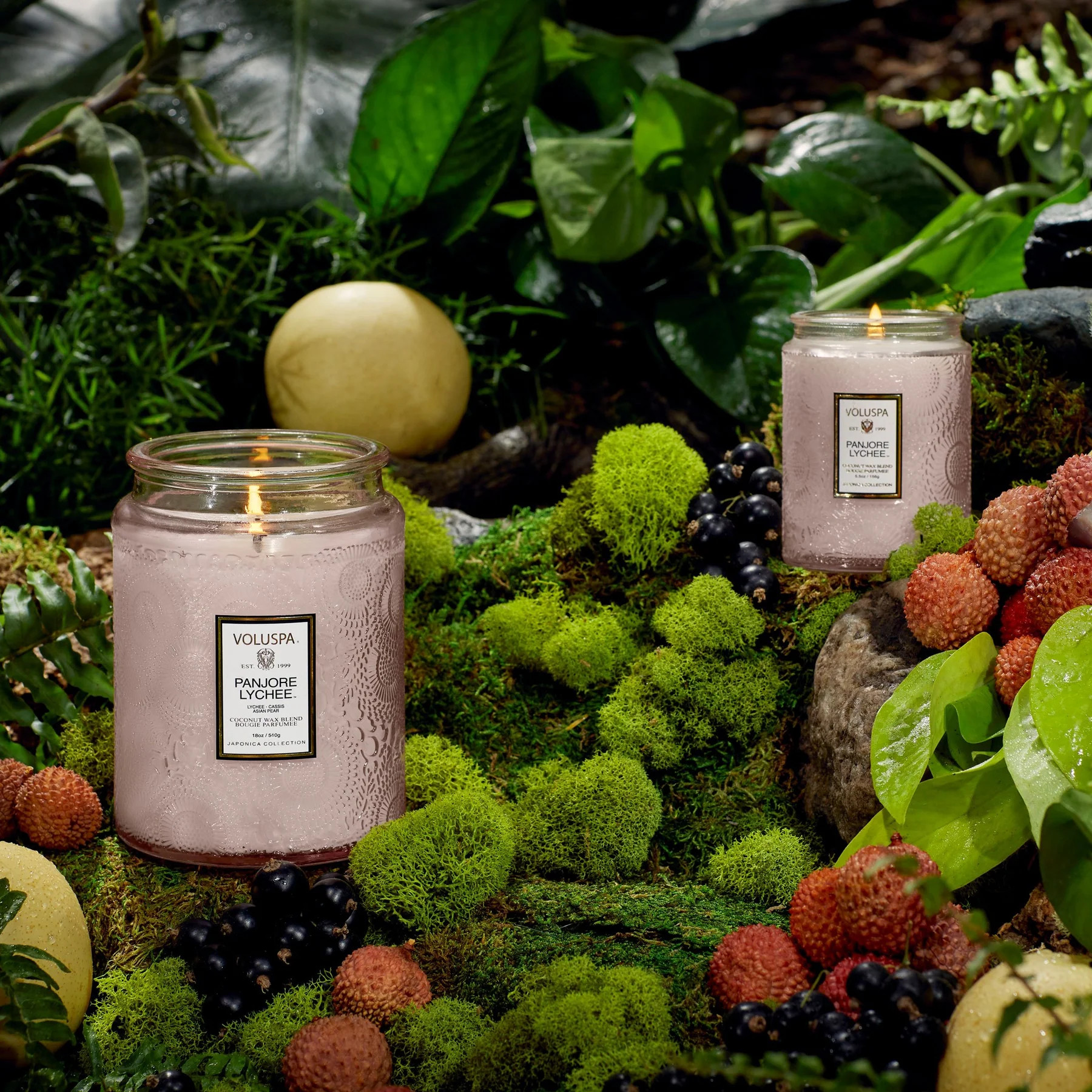 Panjore Lychee - Small Jar Candle | Voluspa