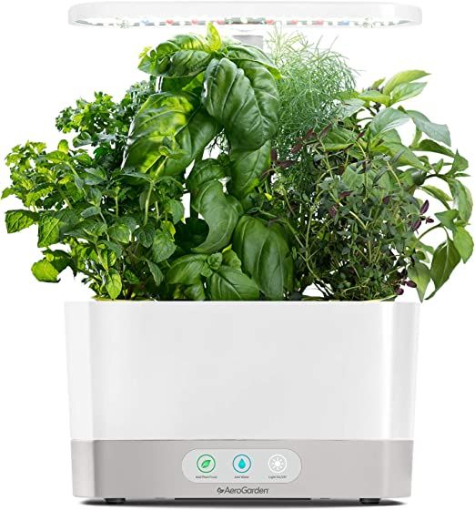 Amazon.com: AeroGarden Harvest with Gourmet Herb Seed Pod Kit - Hydroponic Indoor Garden, White | Amazon (US)