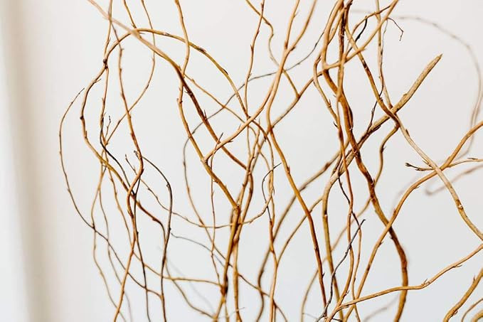 Green Floral Crafts | 12 Stem Dried Curly Willow Branches 3-4 Feet Tall - Perfect Home Decoration... | Amazon (US)