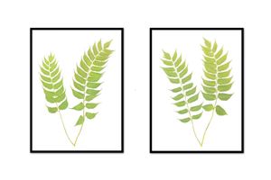 Holly Fern Pair | Urban Garden Prints