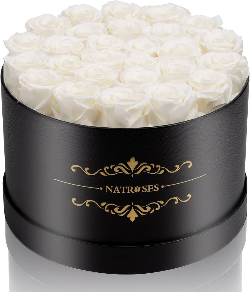 NATROSES 27 Piece Forever Preserved Roses in a Box, Preserved Flowers for Delivery Birthday, Flow... | Amazon (US)