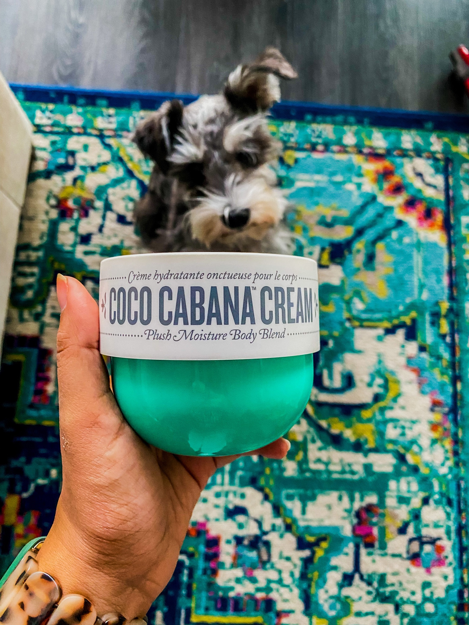 Just put this on and looked it up to discover it was discontinued 😭💔 linking the bum bum cream which also smells PHENOMENAL as well as my turquoise area rug.

#LTKbeauty #LTKfindsunder50 #LTKhome