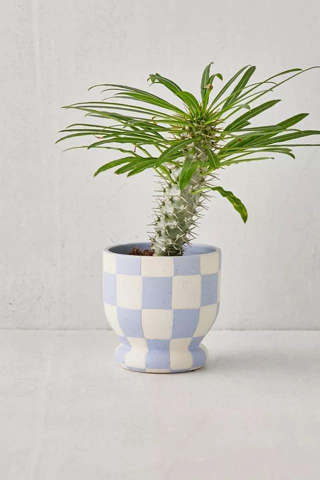Frankie Checkered Planter | Urban Outfitters (US and RoW)