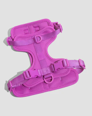 Comfort Dog Harness | Wild One | Wild One