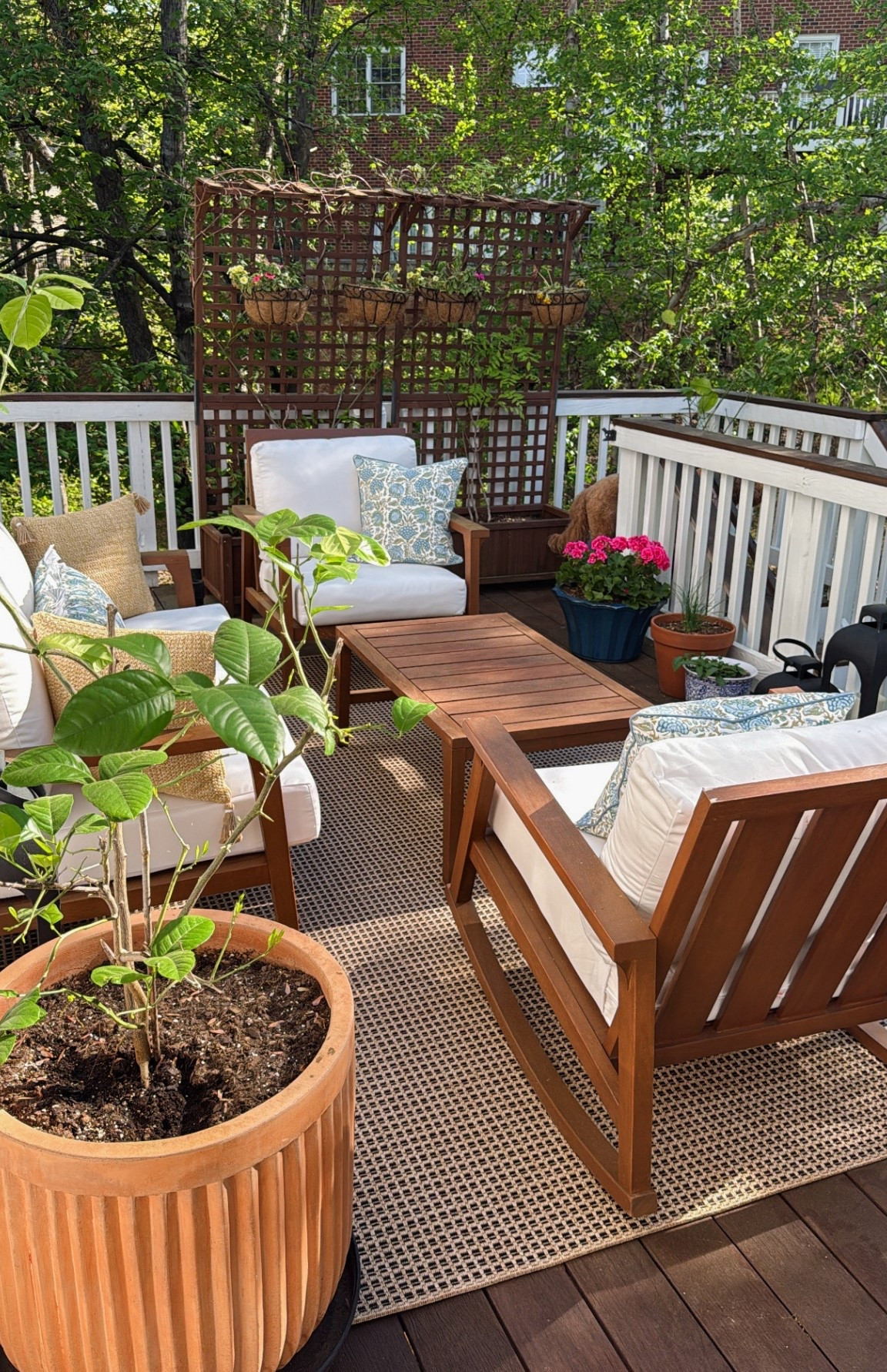 Patio is open for springherb

#LTKSeasonal #LTKHome