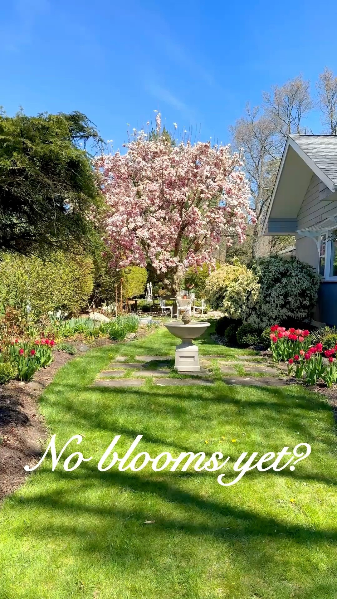 Bringing a little whimsy into the garden before the blooms arrive 🤍🌿

Early spring can feel quiet in the garden, but adding beautiful details like birdhouses and feeders from Mackenzie-Childs instantly creates charm and personality—no flowers required.

These are the pieces I reach for to make my cottage garden feel layered, lived-in, and magical in every season… and the birds love them just as much as I do 🕊️

Shop my favorite garden decor to add interest to your space now—so when your blooms arrive, everything already feels complete.

#LTKhome #LTKgarden #cottagegarden #gardeninspiration #mackenziechilds #springdecor #gardenstyle #outdoorliving