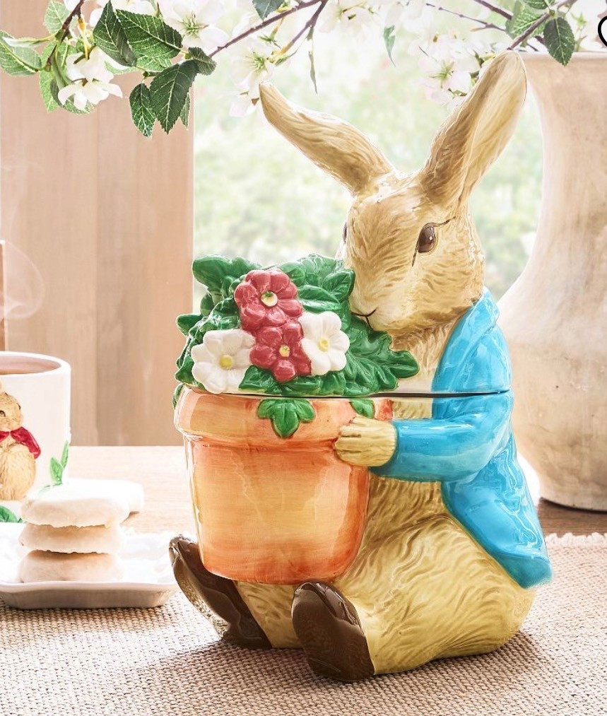 Bunny Cookie Jar 🐰 🪴🍪

#LTKSpringSale #LTKHome #LTKSeasonal