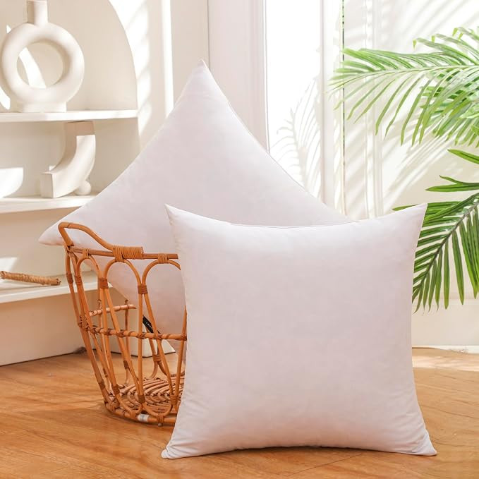 22x22 Inch Gold Goose Down and Feather Throw Pillow Inserts-2 Packs,White,Super Soft Cover,Double... | Amazon (US)