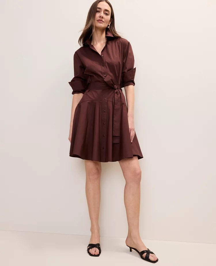 Belted Collared Shirtdress | Ann Taylor