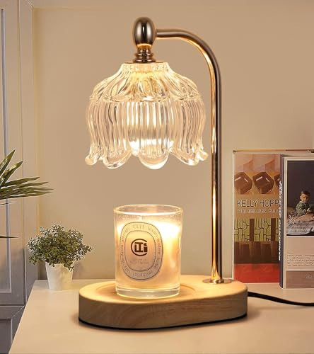 MEIXISUE Candle Warmer Lamp with Timer and Dimmer,Electric Gold Light Gifts for Women Melt Wax Warmer Lamp with 2 Bulbs for Candle Jars House Warming New Home Decor Bedroom | Amazon (US)