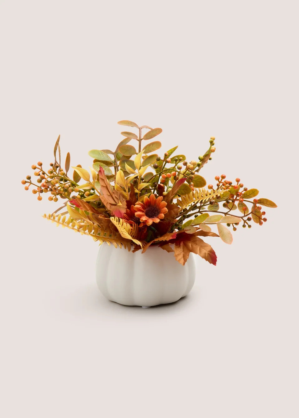 Orange Plant in Pumpkin Pot (14cmx14cmx22cm) | Matalan (UK)
