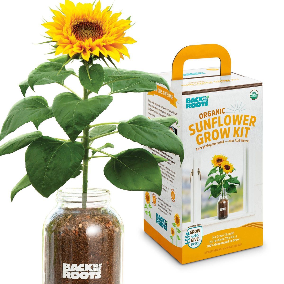 Back to the Roots Organic Sunflower Grow Kit | Target
