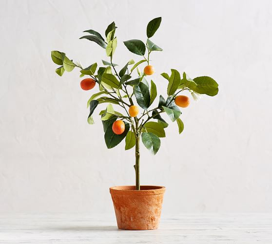 Faux Potted Kumquat Tree | Pottery Barn (US)