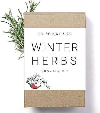 Winter Indoor Garden Kit - Herb Garden Seed Starter Kit for Gardening Indoors | Plant Grow Kit wi... | Amazon (US)