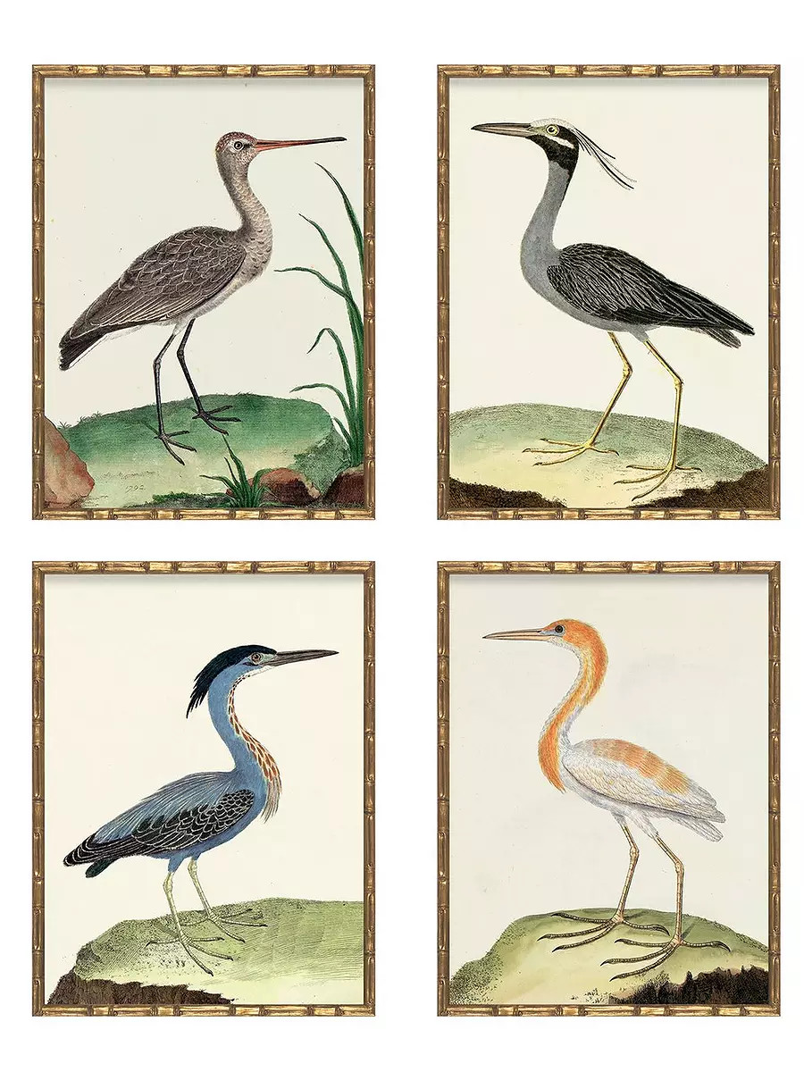 Vintage Birds" in Bamboo Frame - Set of Four II (Birds II, VI, VII, VIII) by Whalebone Creek Prin... | Serena and Lily