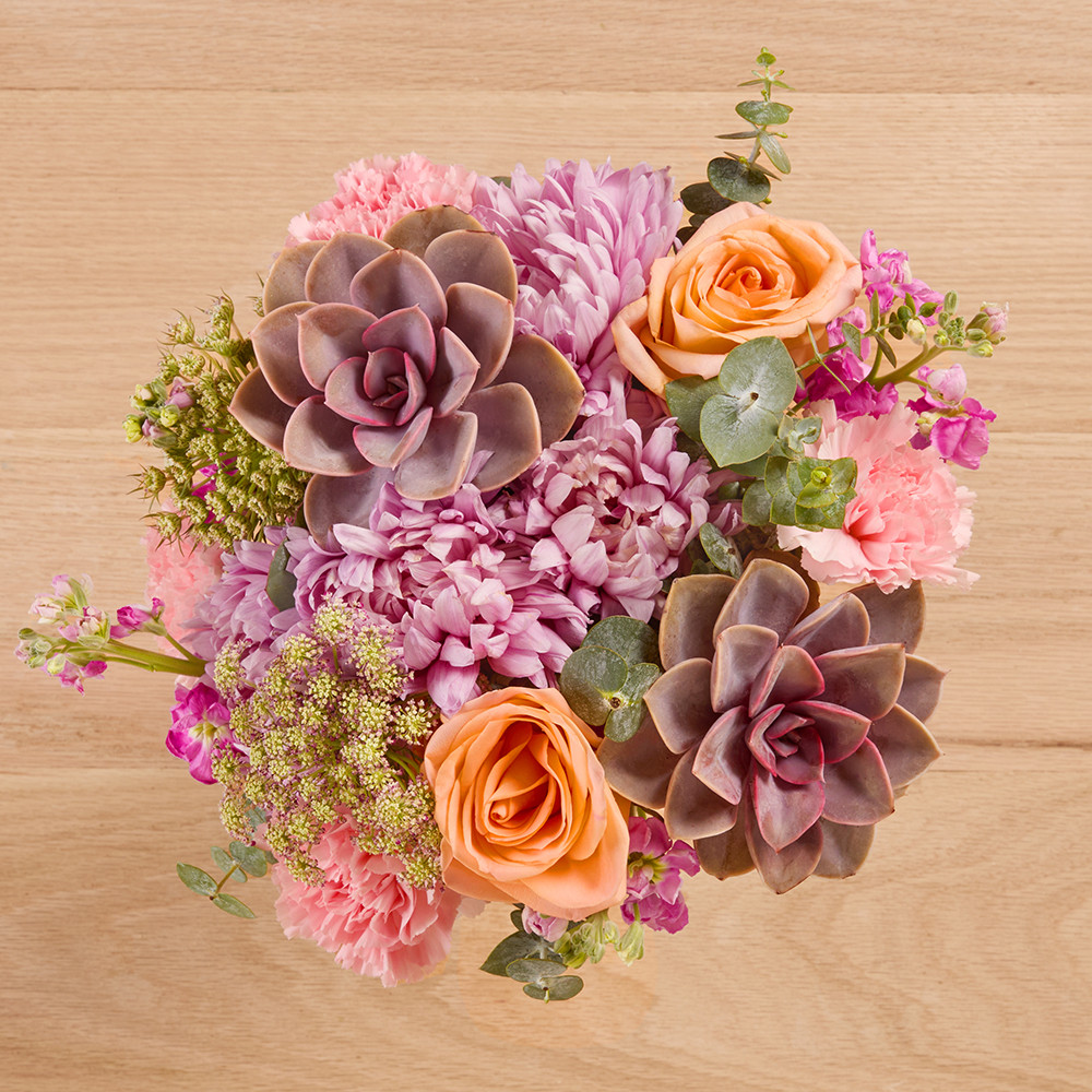 Mixed Arrangement with Succulents, Mums & Roses - The Bouqs Co. | The Bouqs Co.