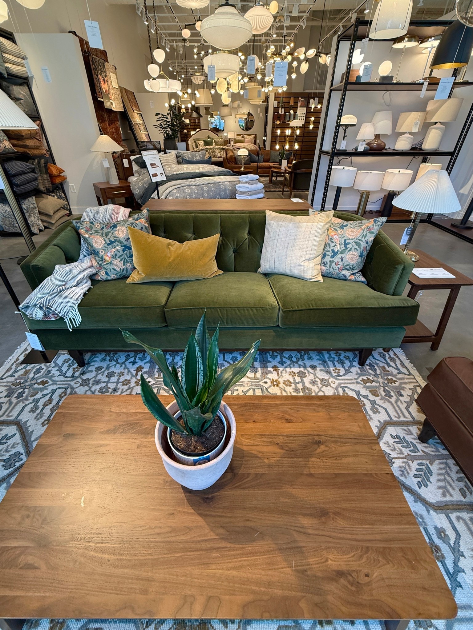 Warm, layered, and full of character! 😍 This living room is a beautiful mix of textures and patterns, centered around the Monrowe Sofa from Rejuvenation in that stunning Peridot Green velvet. 💚 The curved, tufted design brings a refined softness, while the performance velvet keeps it practical for real life! ☺️ Rich wood tables, mixed prints, and cozy layers give the space an eclectic, thoughtfully collected feel that still feels inviting and comfortable. 🤎📚I’ve linked the full setup to shop the look! #LivingRoomInspo #VelvetSofa #HomeDecor

#LTKSaleAlert #LTKHome