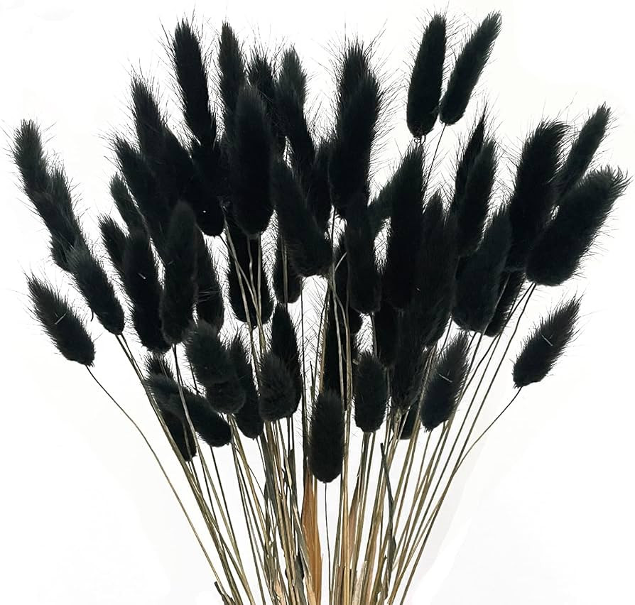 XHXSTORE 60pcs Dried Bunny Tails Flowers Black Pampas Grass Dried Flowers Bulk Natural Lagurus Ov... | Amazon (US)
