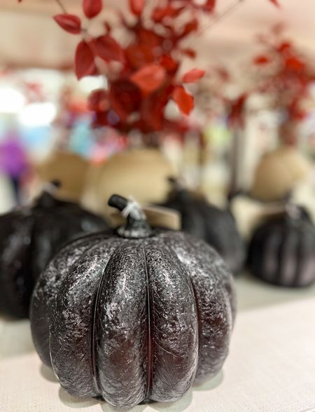 Spooky Halloween fall decor at @target! It’s finally here and I love it! These black spooky pumpkins are must have! Also vase with fall faux eucalyptus. Treshold on top of it again, affordable fall / Halloween decor at target.

#fall #spooky #halloween #decor 

#LTKunder50 #LTKSeasonal #LTKhome