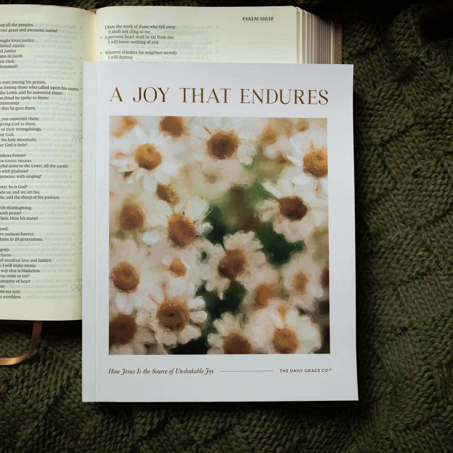 A Joy That Endures | The Daily Grace Co.