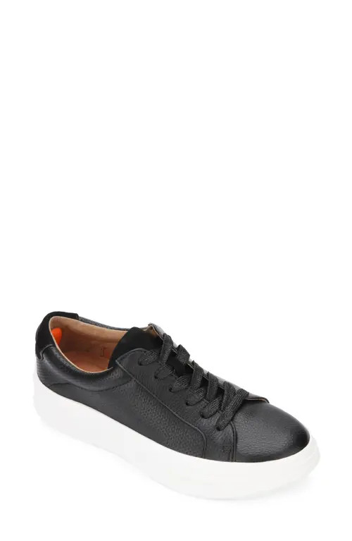 GENTLE SOULS BY KENNETH COLE Gentle Souls Signature Rosette Sneaker in Black Leather at Nordstrom, S | Nordstrom