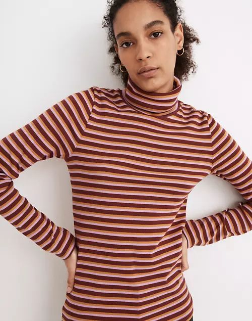 Ribbed Turtleneck Top in Chilton Stripe | Madewell